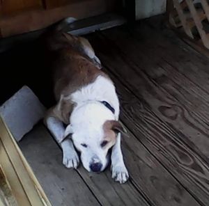 Meet your Posher, Charles